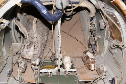 The "cosmonauts" inside the cockpit